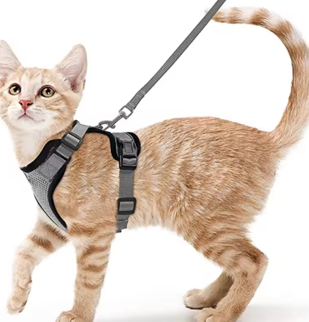 Cat Harness and Leash for Walking, Escape Proof Soft Adjustable Vest Harnesses for Cats, EasyControl StepbyStep