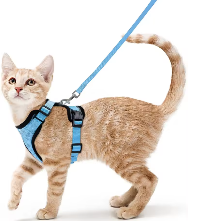 Cat Harness and Leash for Walking, Escape Proof Soft Adjustable Vest Harnesses for Cats, EasyControl StepbyStep