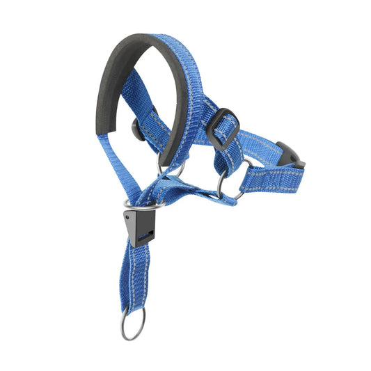 Dog Head Halter StepbyStep