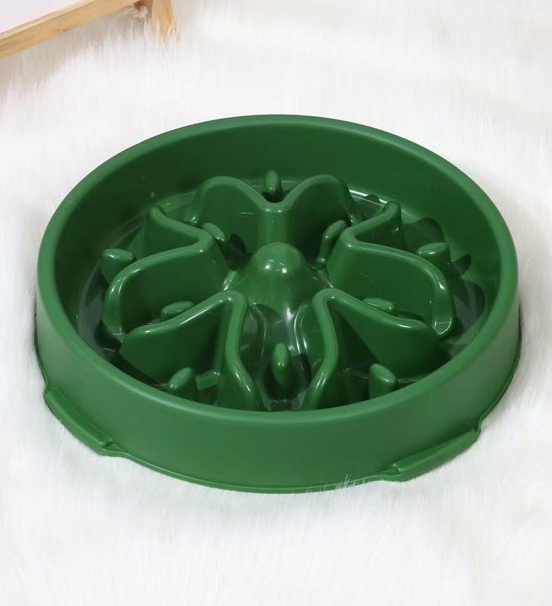 Best Slow Feeder Dog Bowl StepbyStep
