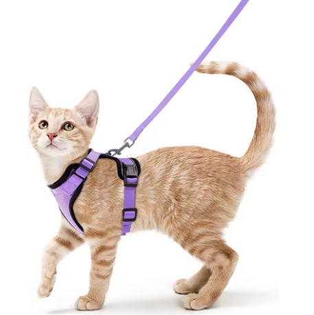 Cat Harness and Leash for Walking, Escape Proof Soft Adjustable Vest Harnesses for Cats, EasyControl StepbyStep