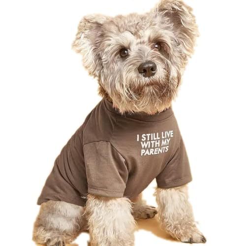 Cute Dog Clothes StepbyStep