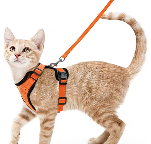 Cat Harness and Leash for Walking, Escape Proof Soft Adjustable Vest Harnesses for Cats, EasyControl StepbyStep