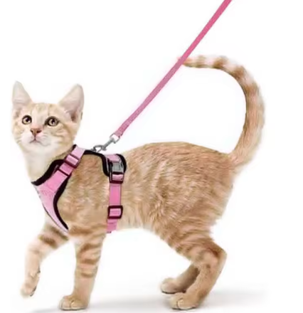 Cat Harness and Leash for Walking, Escape Proof Soft Adjustable Vest Harnesses for Cats, EasyControl StepbyStep