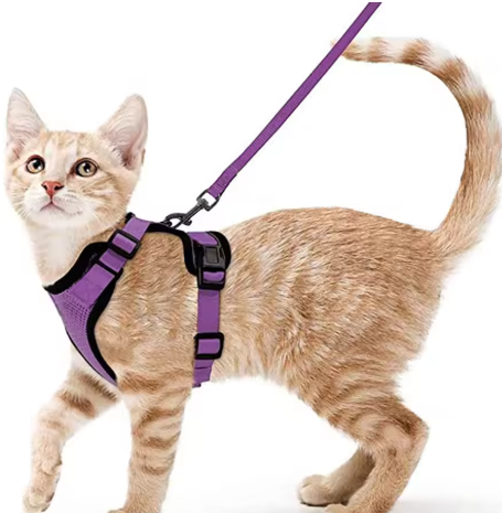 Cat Harness and Leash for Walking, Escape Proof Soft Adjustable Vest Harnesses for Cats, EasyControl StepbyStep