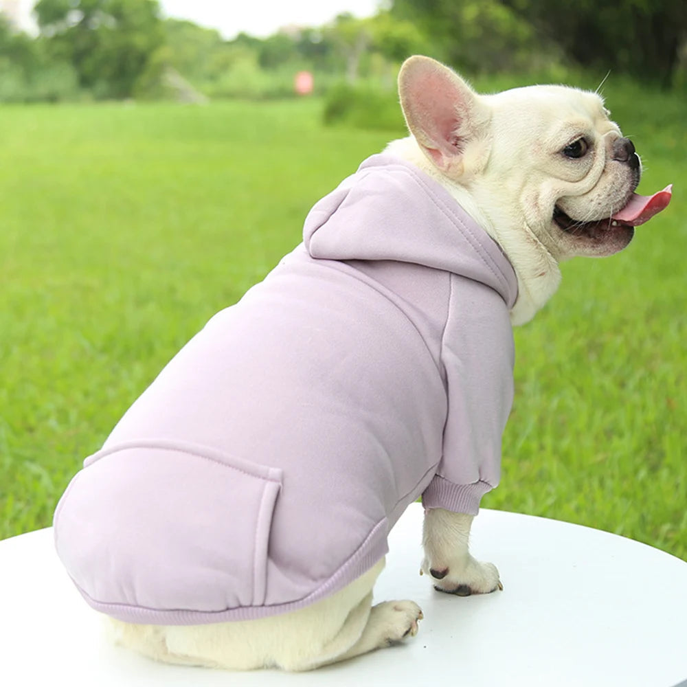 Jecikelon Winter Dog Hoodie Sweatshirts with Pockets Warm Dog Clothes for Small Dogs Chihuahua Coat Clothing Puppy Cat Custume StepbyStep