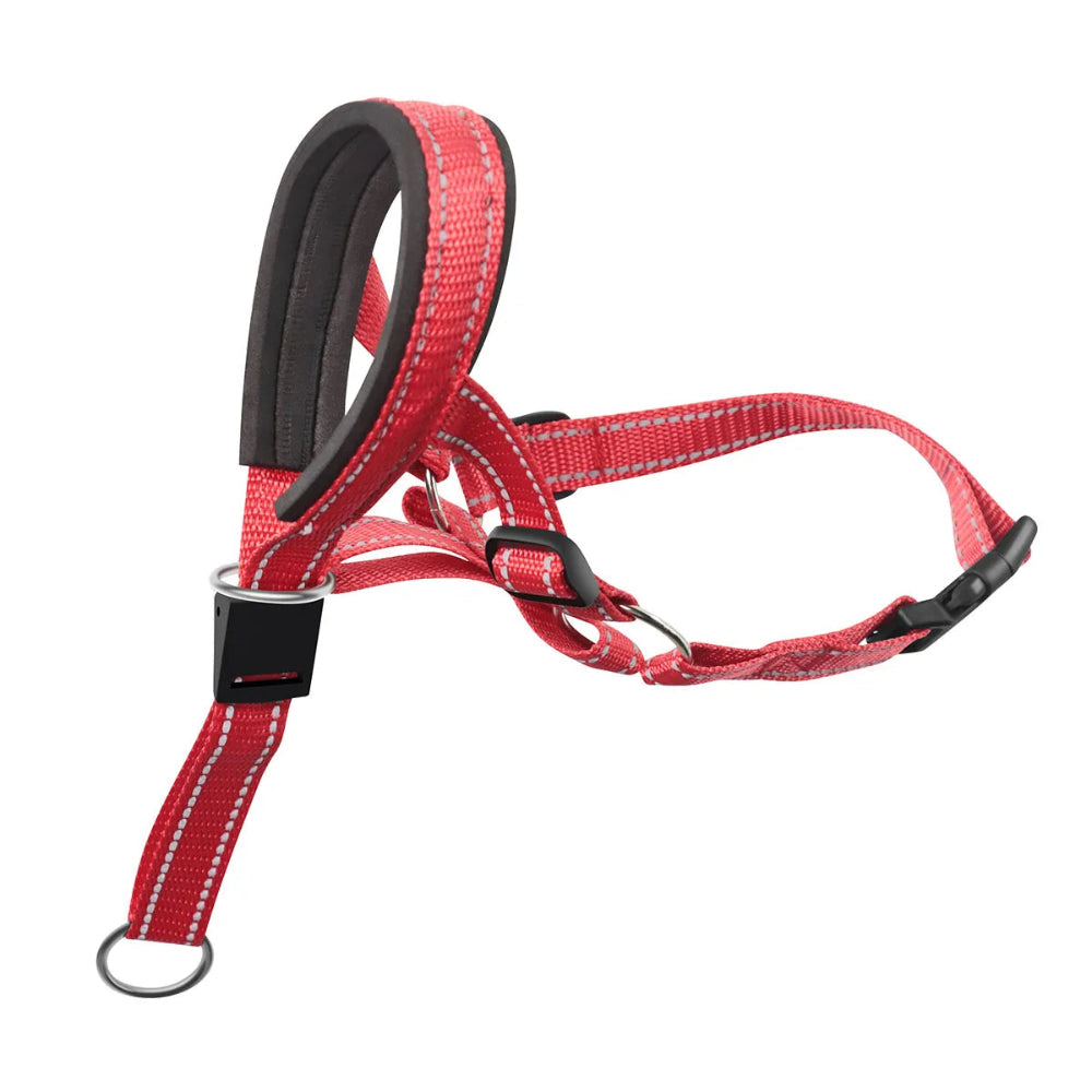 Dog Head Halter StepbyStep