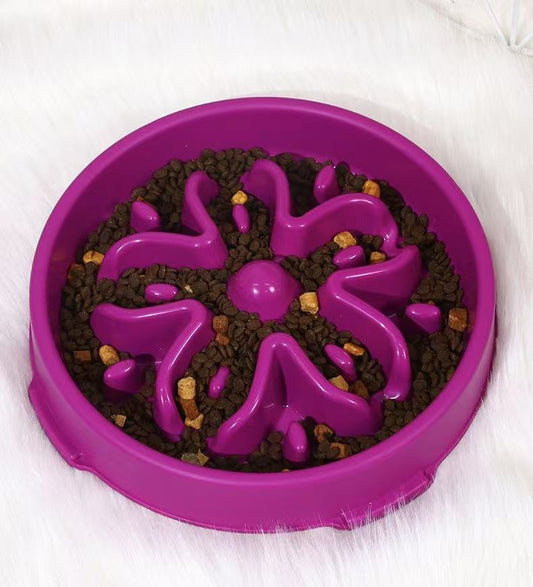 Best Slow Feeder Dog Bowl StepbyStep