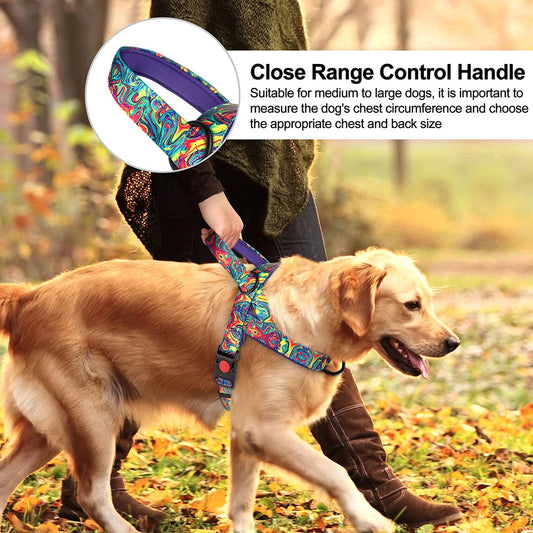 2025 best quality dog harness