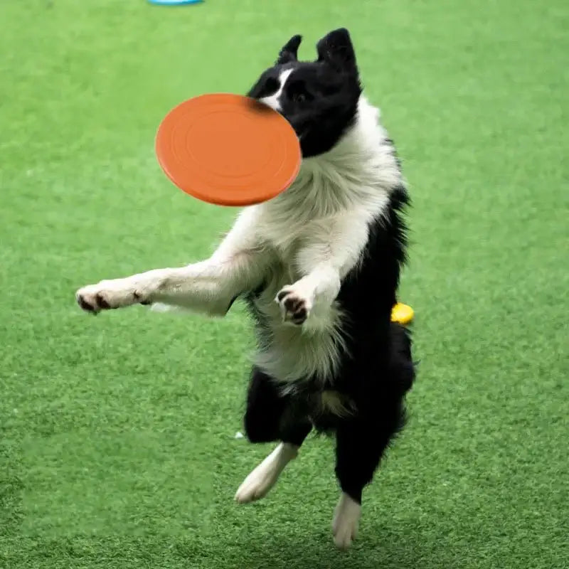 Hot Sale Soft Flying Disc for Dogs Training Interactive Chew Toy with Soft Rubber - StepbyStep