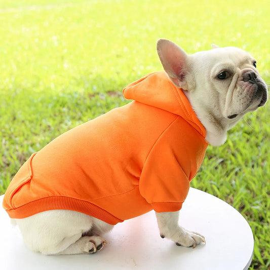 Jecikelon Winter Dog Hoodie Sweatshirts with Pockets Warm Dog Clothes for Small Dogs Chihuahua Coat Clothing Puppy Cat Custume StepbyStep