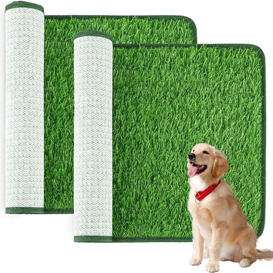 Dog Grass Toilet StepbyStep