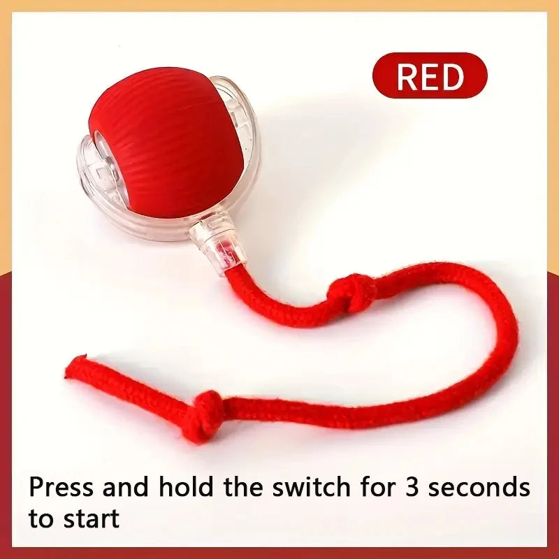 2025 Best Sale Automatic Rolling Ball for Dog - StepbyStep