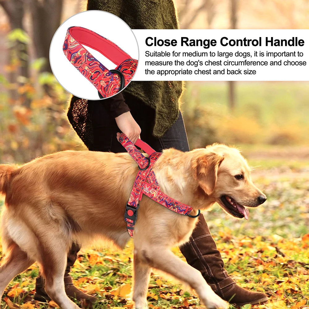 2025 best quality dog harness