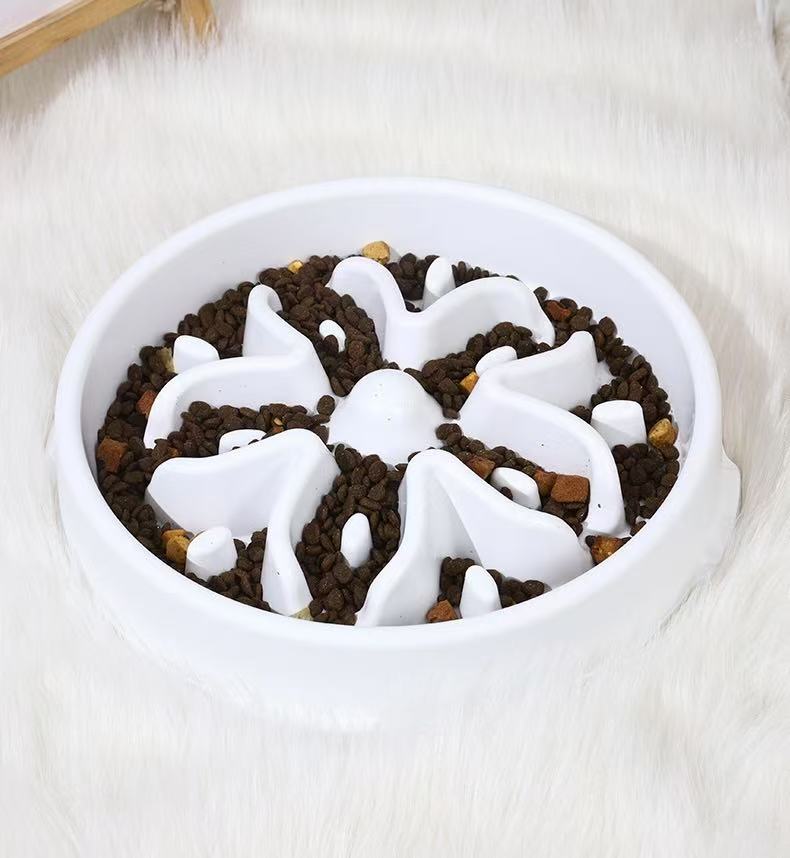 Best Slow Feeder Dog Bowl StepbyStep