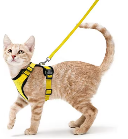Cat Harness and Leash for Walking, Escape Proof Soft Adjustable Vest Harnesses for Cats, EasyControl StepbyStep