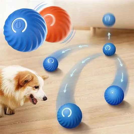 balls for dogs to play with