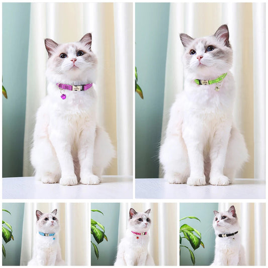 Popular Reflective Cat Collar with Name StepbyStep