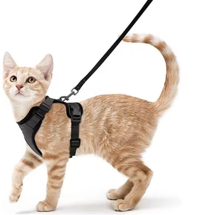 Cat Harness and Leash for Walking StepbyStep