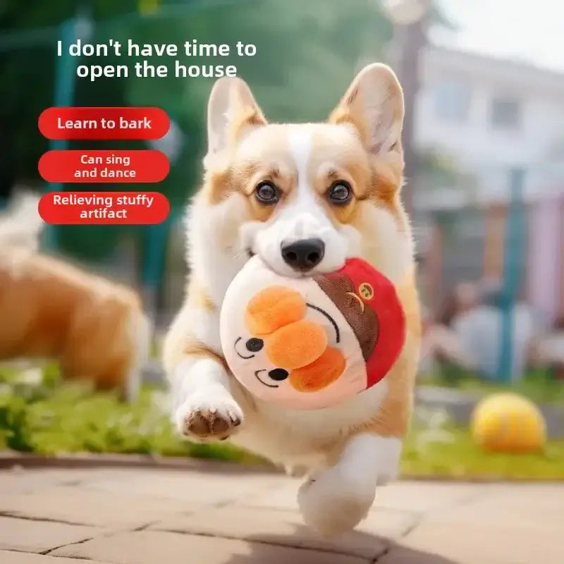 busy ball for dogs