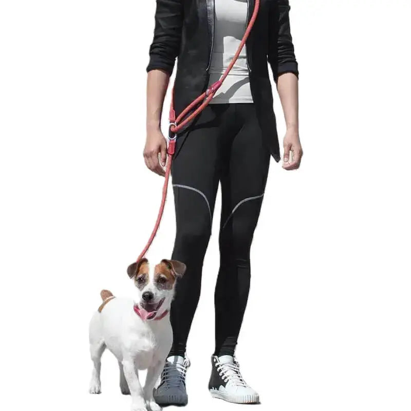 HOT SALE Traction Rope Leads  with Reflective for Running Free Hands Rope - StepbyStep