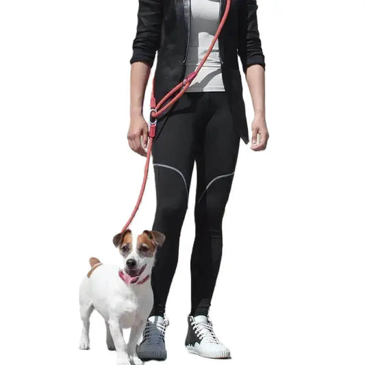 HOT SALE Traction Rope Leads  with Reflective for Running Free Hands Rope - StepbyStep