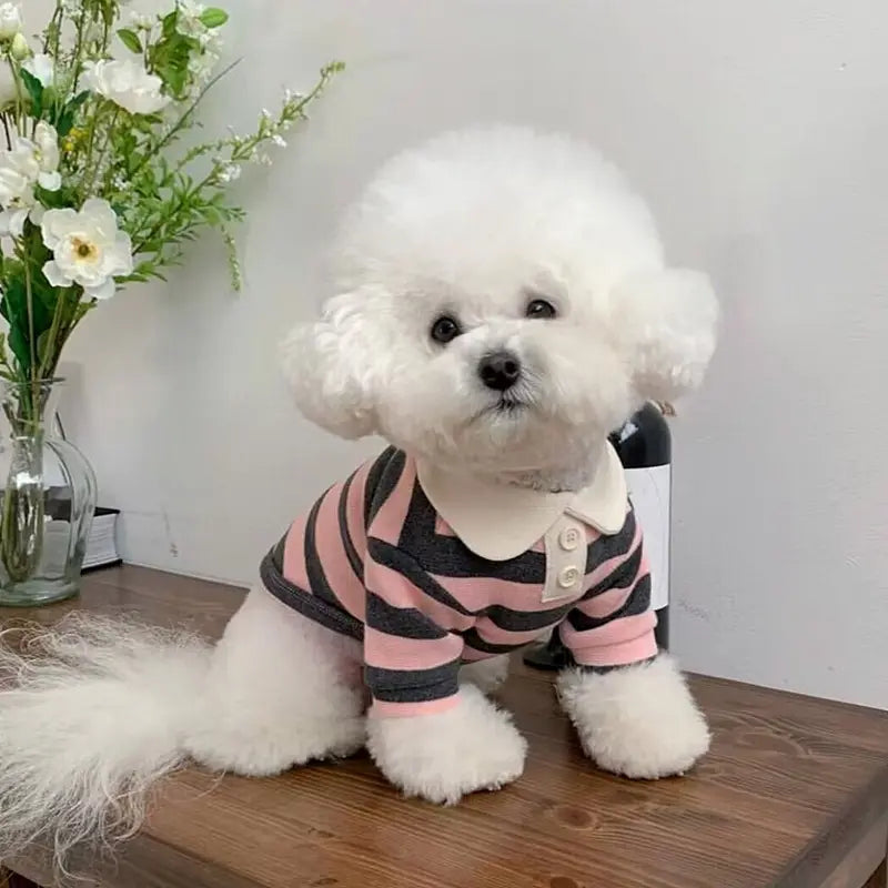 High Quality Soft Dog Clothes Breathable Elastic Puppy Shirt Striped Pattern Leisure Dog T-Shirt Summer StepbyStep