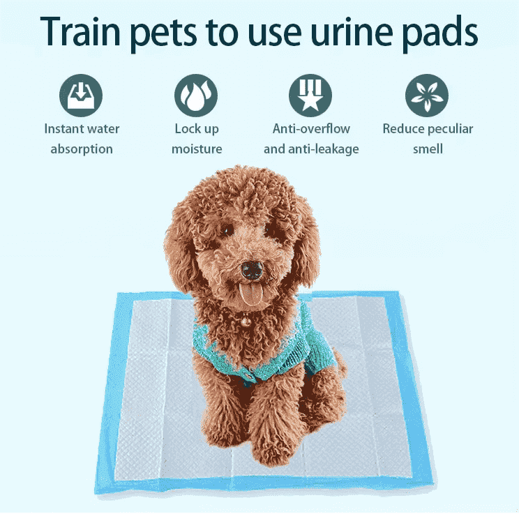 dog for dog training pads