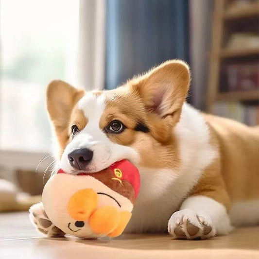 dog treat puzzle toys