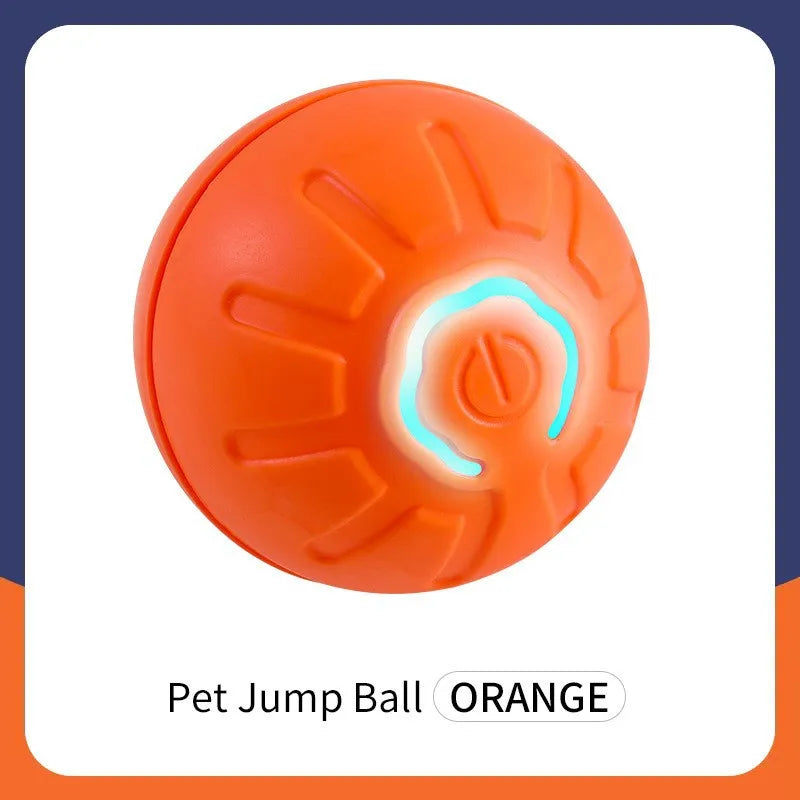 automatic rolling ball for pet