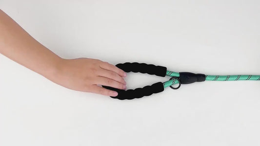 Reflective Dog Leash With Comfortable Padded Handle