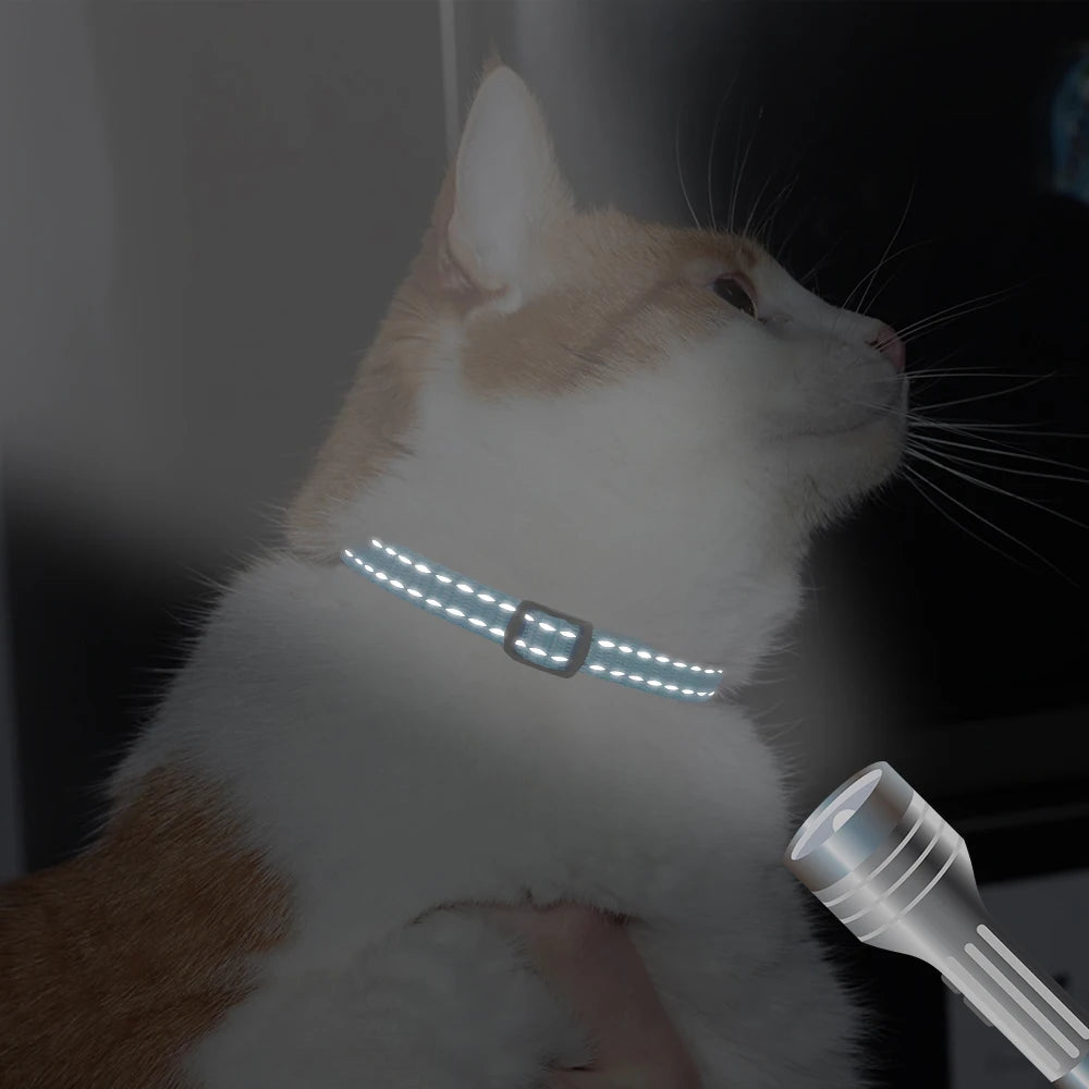 Popular Reflective Cat Collar with Name StepbyStep