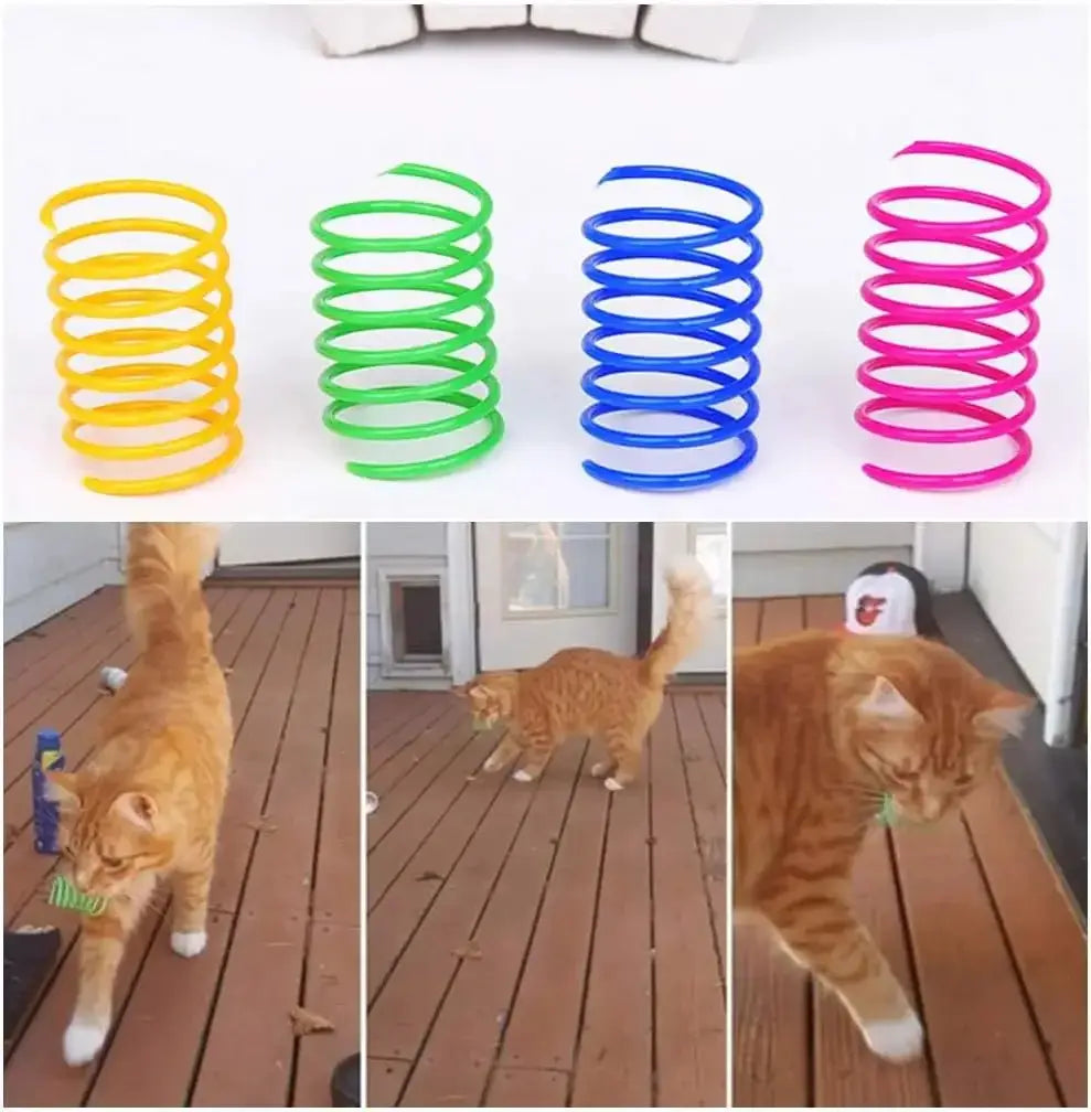 cat coil toy