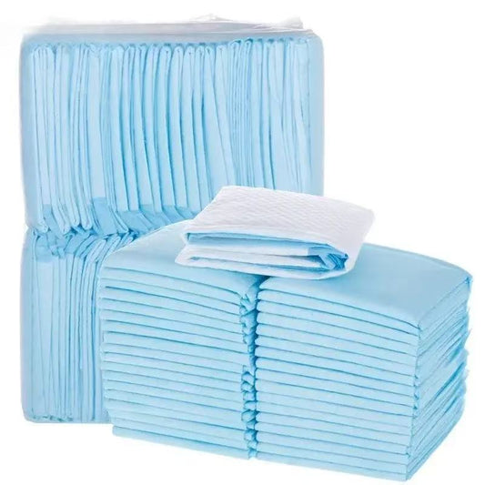 training dog on pee pad